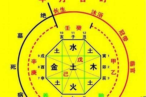 八字十神查詢|免費生辰八字五行屬性查詢、算命、分析命盤喜用神、喜忌